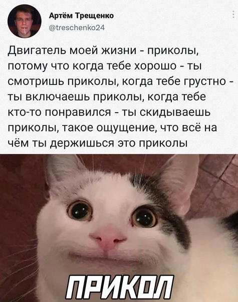 Картинки и мемы для настроения
