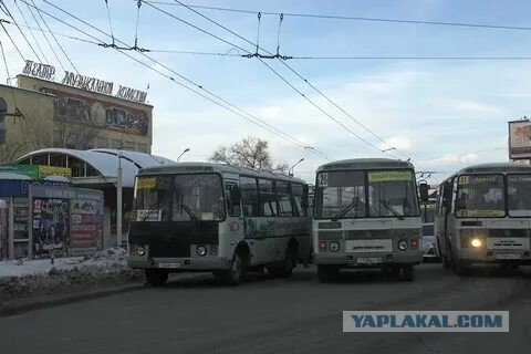 Тайна раскрыта: афробусы МАЗ-131 всплыли в Того под брендом SUB