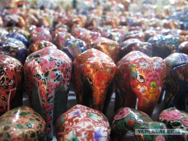 Гоа 2011. Раз, два, три - произносим "шааантиии"