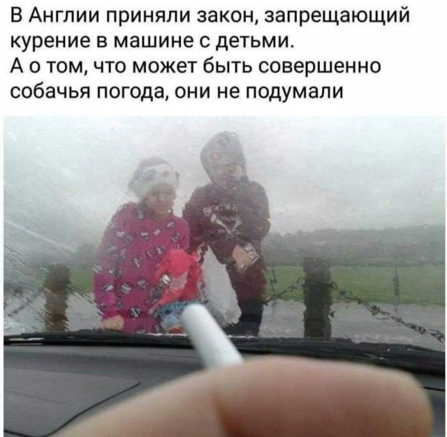 Так себе картинки 11.04.22