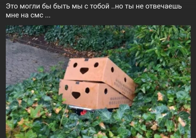 Так себе картинки 24.04.22