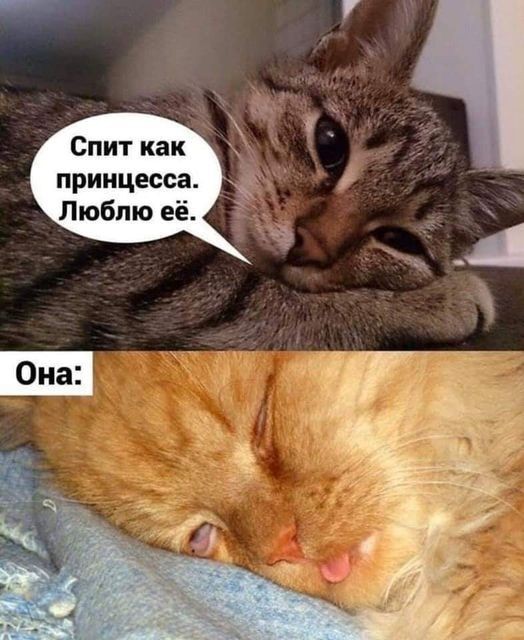 Чуток картинок. Для настроения