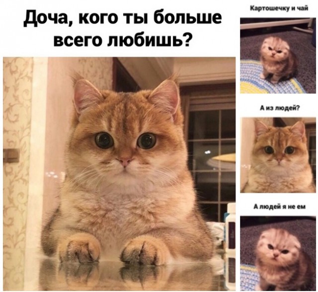 Картинки и мемы для настроения  - 31