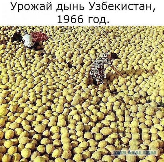 В Узбекистане массовые протесты