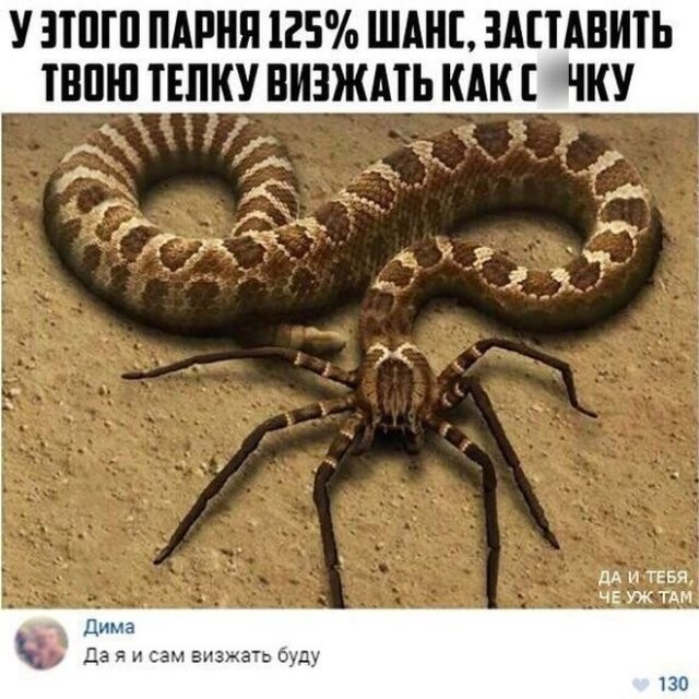 Скриншоты и комментарии из социальных сетей 1.10.22