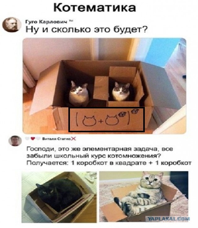 Немного юмора, гуманитарного - 5