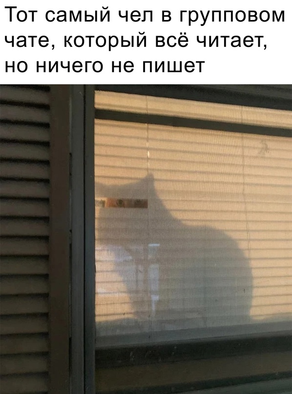 Картинки и мемы. Выходные близко...