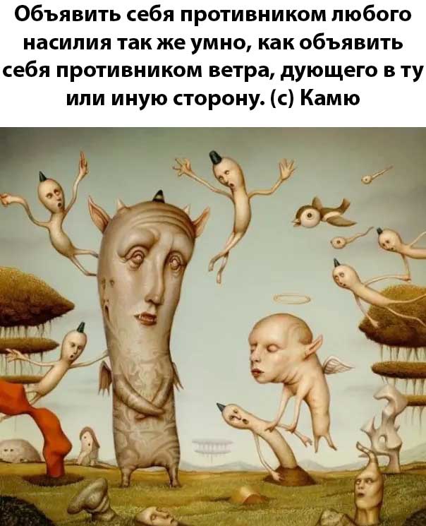 Так себе картинки 15.02.23