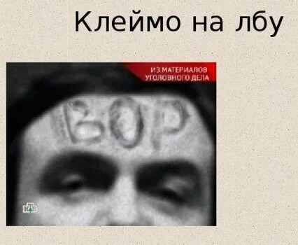 Первый суд за мародёрство в Курской области