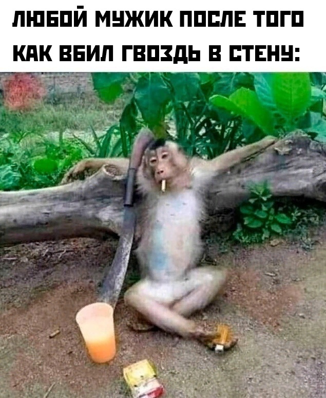 Картинки и мемы, всяко разно - 183