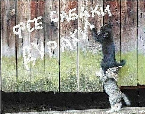 Скупка краденого из сети 15-06-2023