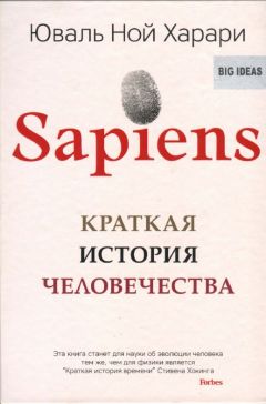 Слонёнок 7 минут от рождения