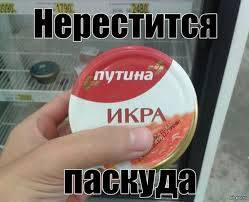«По призыву президента мы должны удвоить население России в ближайшие 50 лет».