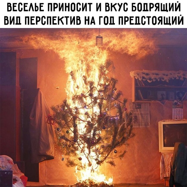 Веселые картинки