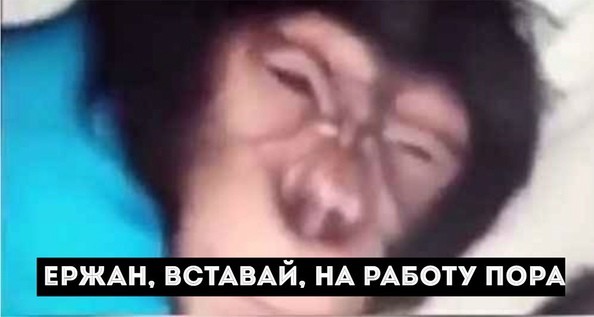 Кот, вставай! Мне ехать надо