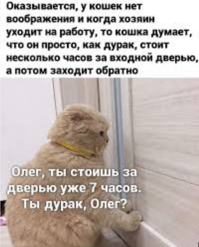 А как орал