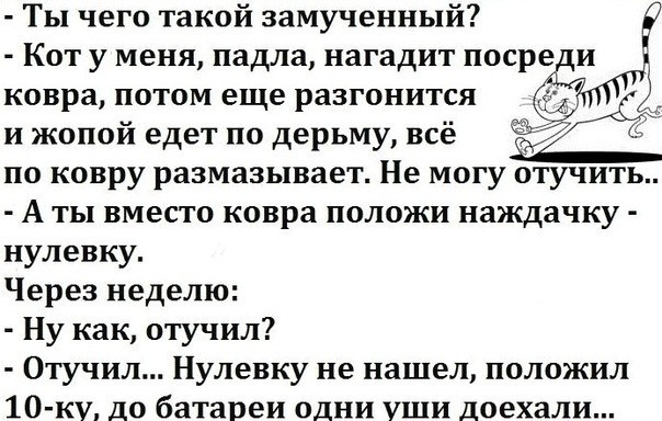 Сезон сумасшедших самокатчиков открыт