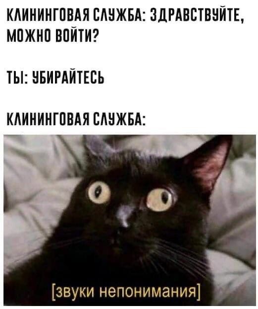 К котовторнику: подборка картинок-баянов с котиками и про котиков. Выпуск 22
