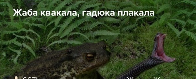 В Казани адвокат выиграла дело об убийствах 20-летней давности. Теперь ее саму хотят судить