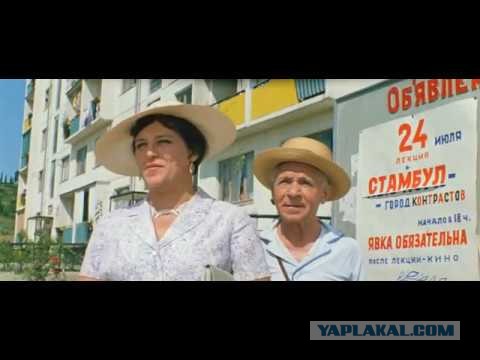 Собака — друг человека