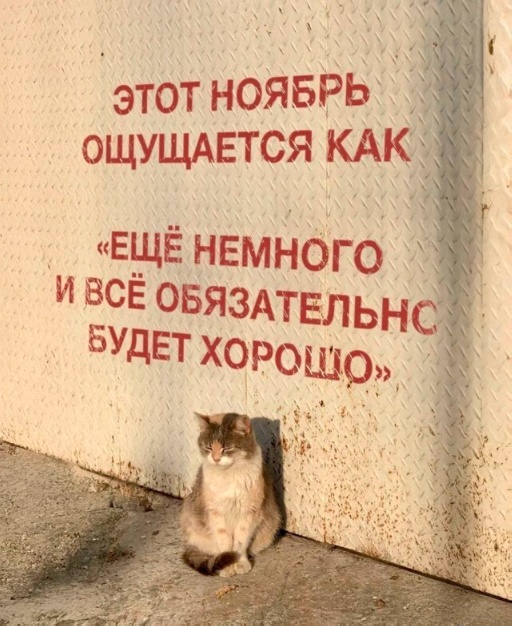 Картинки для деградации 93 (разной степени свежести)