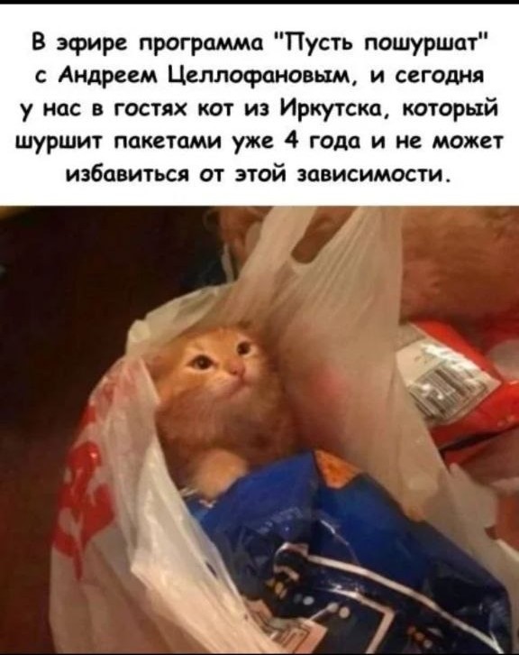 Доверили опять