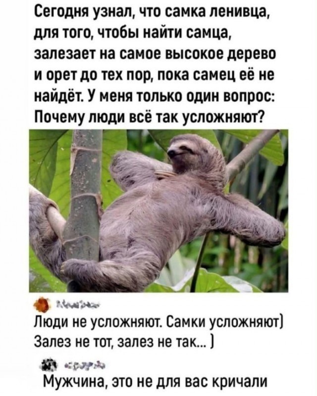 Картинки для деградации 234 (разной степени свежести)