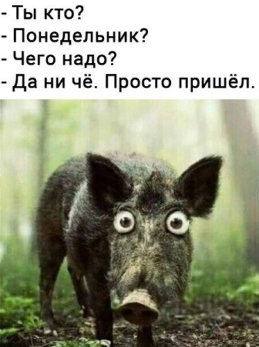 Ну чо, есть чо?