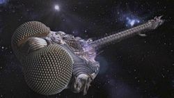 Крупнейшее летающее насекомое в истории Земли