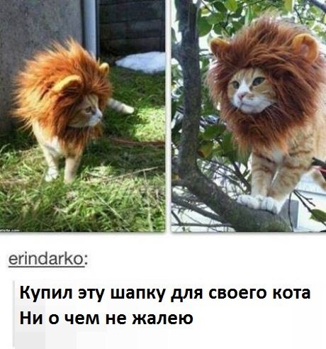 Смешные комментарии из социальных сетей #2