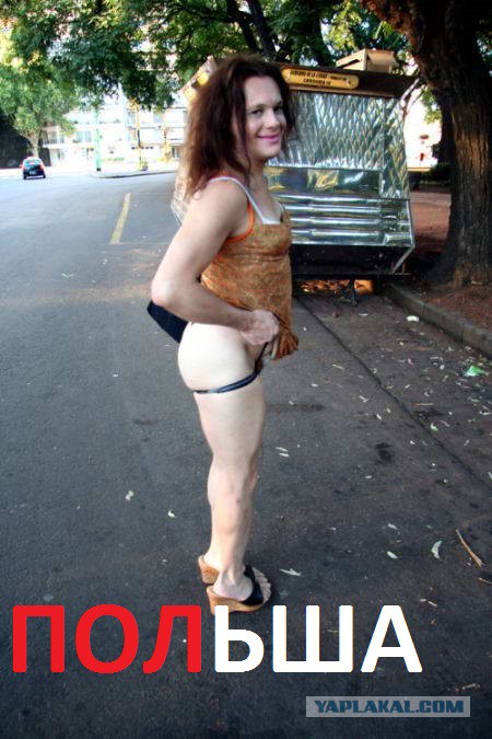 Хозяева прилетели