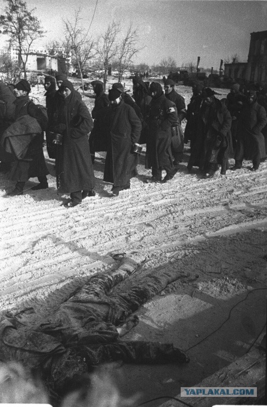Несколько фотографий Великой Отечественной Войны