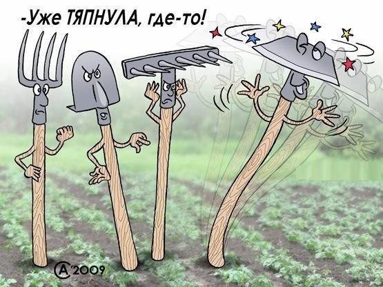 Веселые картинки № х/з
