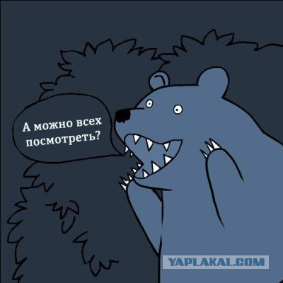 Медведи почти на все случаи жизни