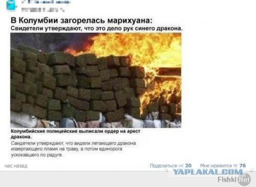 Комментарии из сетей