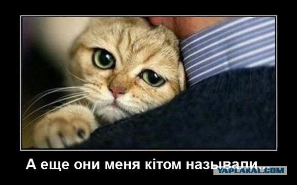 Война не повод для смеха, но....