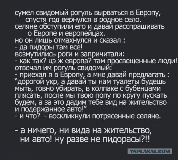 Политическая солянка #3