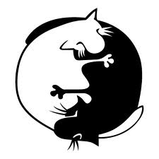 Мудрая девочка