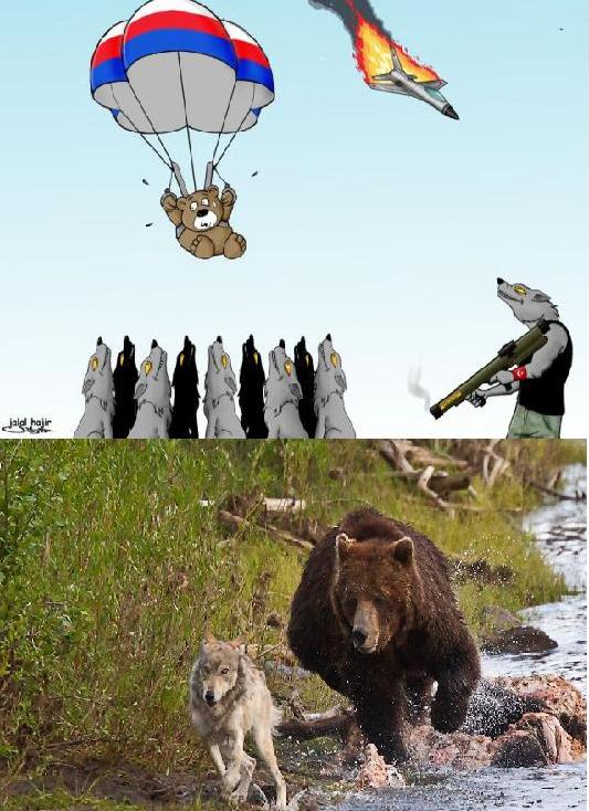 Карикатуры