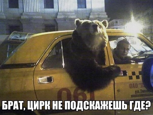 Картинки и демотиваторы