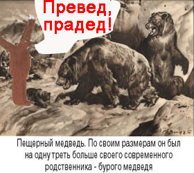 Превед медвед!
