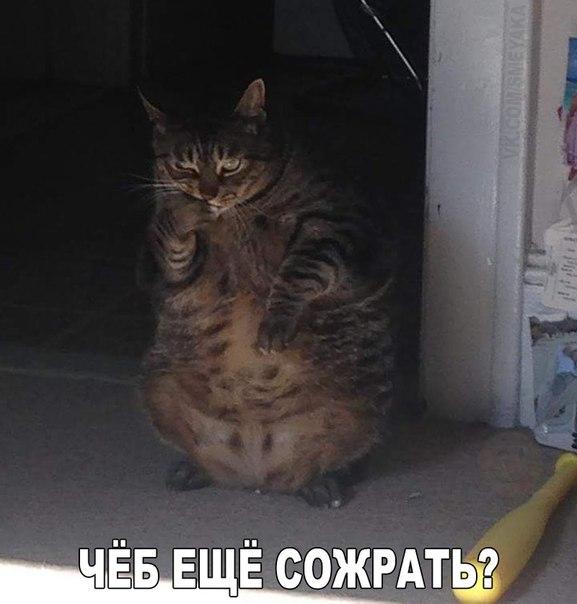 Подборка Картинок из сети