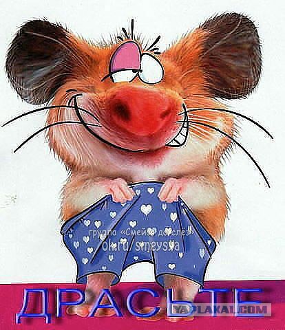 16 людей, которые так и не поняли, что такое штаны и как их следует носить