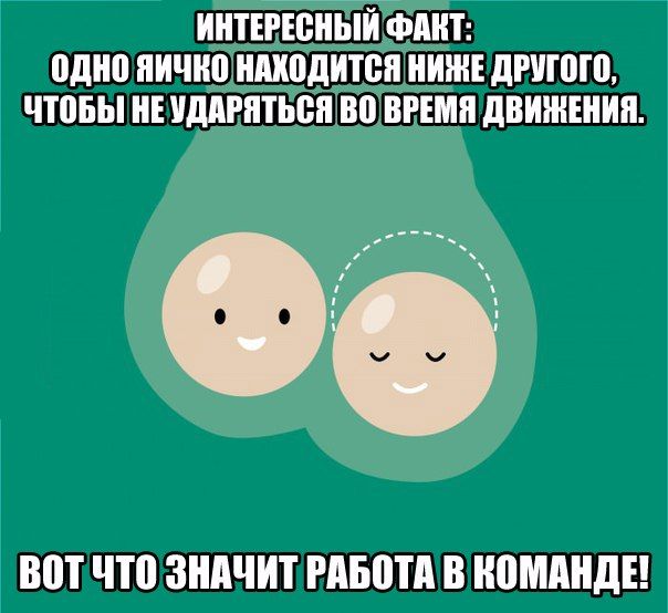 Картинки для поднятия настроения - 4