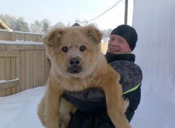 Мохнатые беспредельщики
