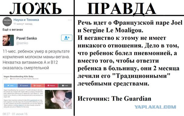 Дети веганов обречены