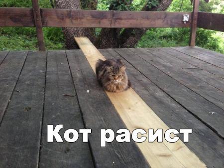 Весёлые картинки