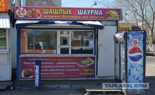 Собакен смотрит ужасы