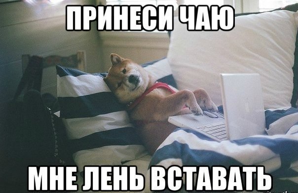 Мохнатые беспредельщики