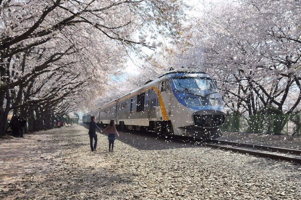 Картинки для отдыха глаз